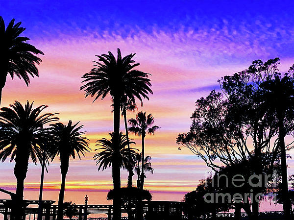 Palm Sunset - No. 1 by Doc Braham Palm Sunset - No. 1 by Doc Braham
